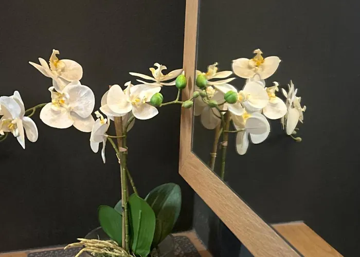 Innsbruck Apartamento *